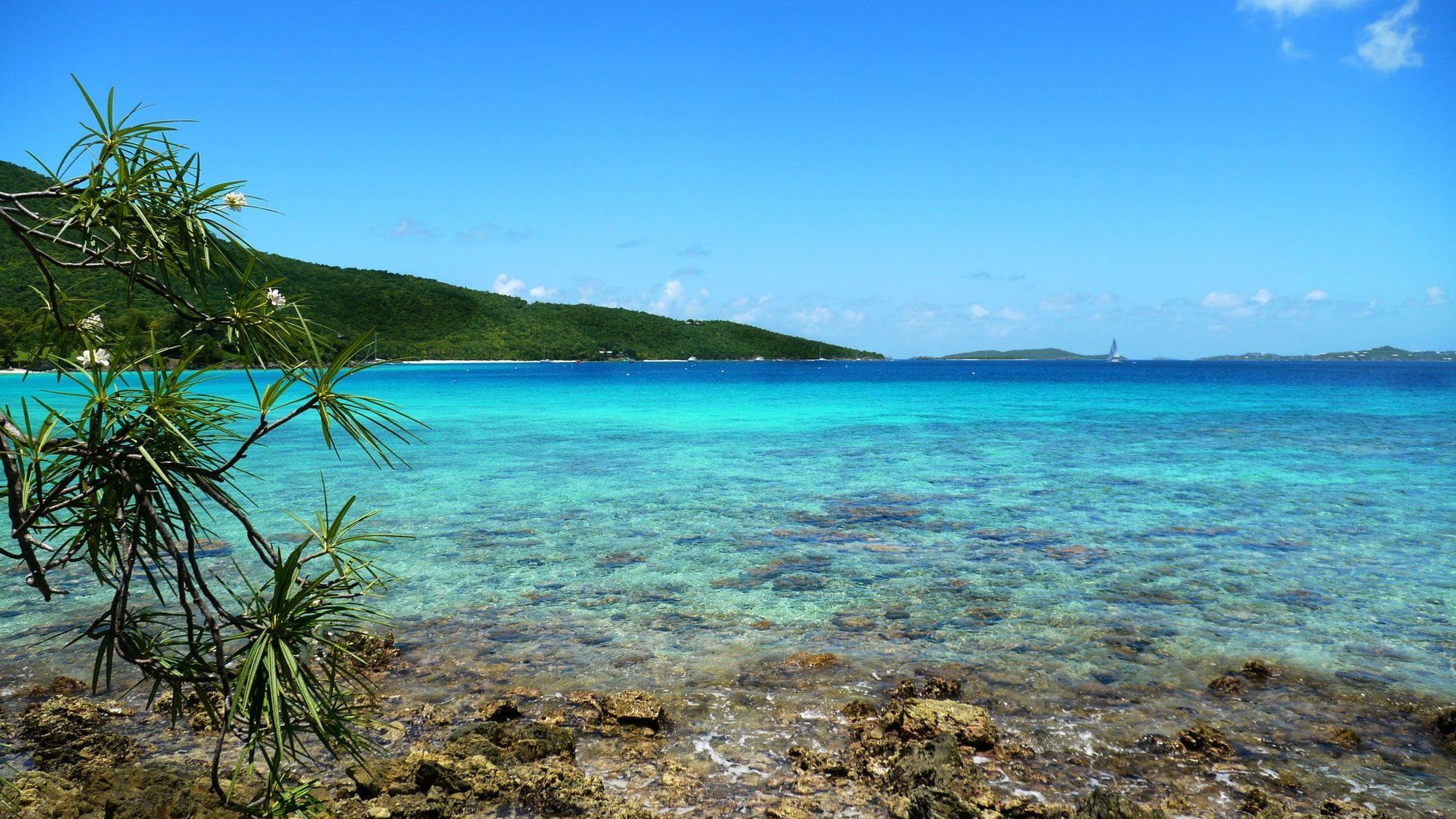Caneel Bay Resort Cruz Bay สิ่งอำนวยความสะดวก รูปภาพ