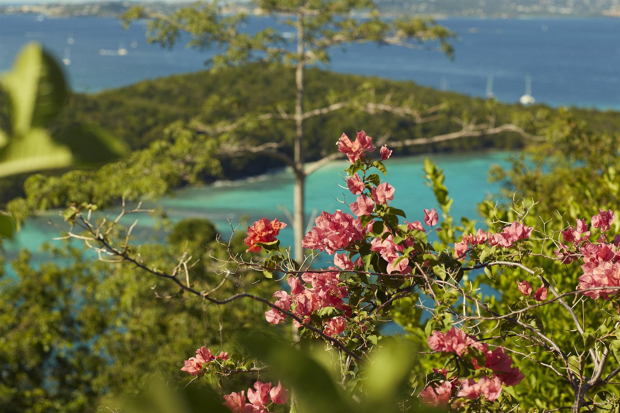 Caneel Bay Resort Cruz Bay ภายนอก รูปภาพ