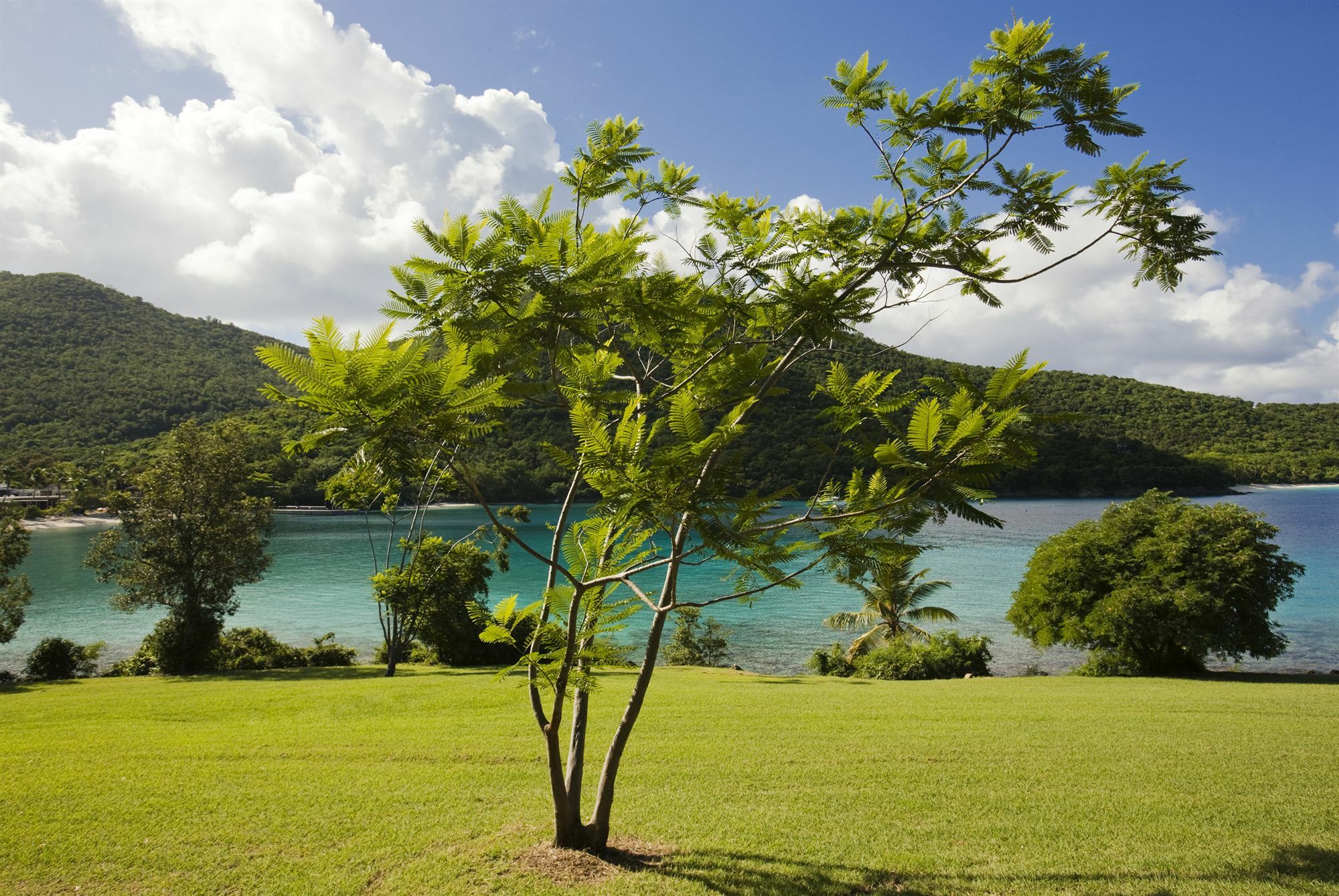 Caneel Bay Resort Cruz Bay ภายนอก รูปภาพ